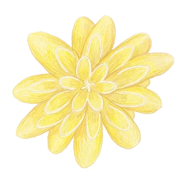 主視覺花飾